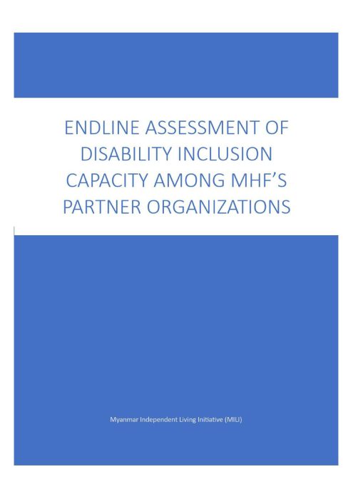 Endline Disability Inclusion Capacity Assessment