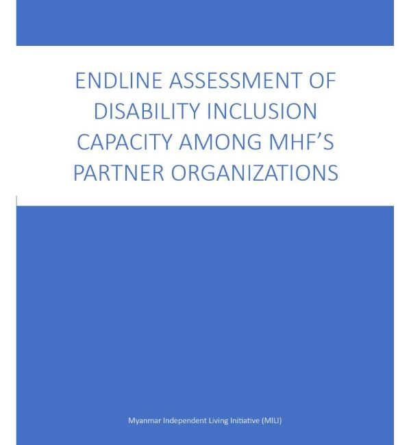 Endline Disability Inclusion Capacity Assessment