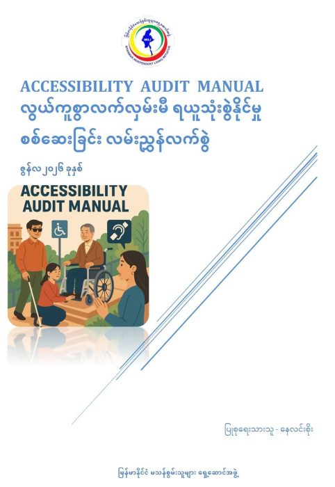 Accessibility Audit Tool