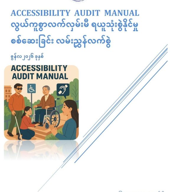 Accessibility Audit Tool